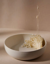Load image into Gallery viewer, Stoneware Shallow Serving Bowl - Matte White
